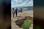 Bozdoğan’da hastalıklı ilekler imha edildi