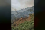 Bozdoğan’da orman yangını