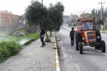 Bozdoğan’da yabani ot mücadelesi 