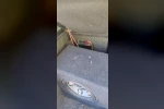 Bozkır'da yüksek sesle müzik yayını yapan şahsa ceza