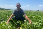 Bu köyde çiftçi sadece tarlasını hazırlıyor, gerisini kooperatif yapıyor
