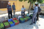 Bu pazarda meyve değil sinek satılıyor