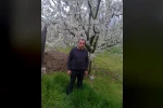 Budadığı ağaçtan düşen adam hayatını kaybetti