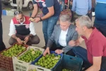 Buharkent’te ilekler, tezgahta incelendi