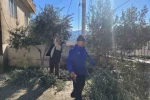 Buharkent’te kursiyerler zeytin ağaçları başında ter döktü