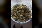 Buldan ormanlarında kuzugöbeği bereketi