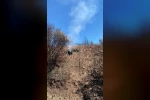 Buldan’daki yangın bölgesinde kökler yanmaya devam ediyor