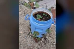 Buldanlı üreticiler atık malzemeleri tarımda değerlendiriyor