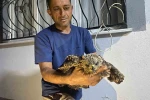 Bulduğu şahine ciğer dürüm söyledi