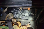 Bulgaristan sınırında 73 silah ele geçirildi