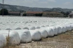 Burdur Şeker Fabrikası’na ’kötü koku’ cezası