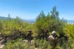 Burdur’da jandarma ekipleri orman yangınlarına karşı teyakkuzda