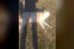 Burdur’da köpeklerin silahla öldürüldüğü iddialarına valilikten açıklama