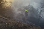 Burhaniye’de ot yangınını itfaiye söndürdü 