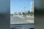 Bursa’da başıboş atlar trafiği tehlikeye attı