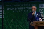 Bursa’da büyükbaşlar İtalyan çimi ile beslenecek