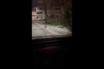 Bursa’da gece yarısı tilki, ağzında kediyle sokakta görüntülendi
