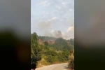 Bursa’da makilik alanda yangın