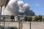 Bursa’da orman yangını
