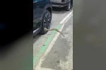 Bursa’da otomobilin jantından yılan çıktı