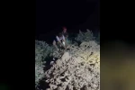 Bursa’da sarp arazide mahsur kalan 2 genç halatla kurtarıldı