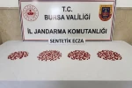Bursa’da uyuşturucu operasyonu: Bin 98 adet sentetik ecza ele geçirildi