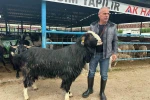 Bursa’daki kurban pazarının şampiyon keçisi 47 bin liradan satıldı