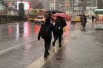 Bursalı çiftçilerin yağışlarla yüzü güldü