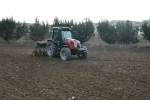 Büyükçekmece’de atıl araziler buğdayla buluştu