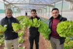 Büyükşehir Belediyesi seralarında kışlık sebze hasadı başladı