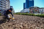 Büyükşehirden kuraklığa karşı sürdürülebilir peyzaj