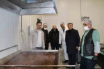 Cağ kebabın başkenti Oltu’da kavurma ve sucuk üretimi yapıyorlar