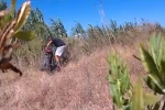 Çaldıkları motosikleti kargıların arasına sakladılar, jandarmadan kaçamadılar