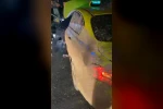 Çamura sapladıkları taksi sürücüsünü darp edip kaçtılar