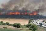 Çanakkale’de 4 gün boyunca orman yangını alarmı