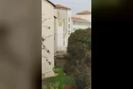 Çanakkale’de fırtına ağaçları devirdi