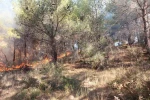 Çanakkale’de ormanlık alanda çıkan yangın kontrol altına alındı