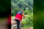 Çarşamba Ovası’nda samuray arıcığı salındı