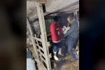 Çarşamba’da şap aşılamaları sürüyor