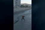 Çaya düşen yavru kediyi Turhal itfaiye ekipleri kurtardı