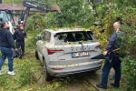 Çaycuma’da park halindeki otomobilin üzerine ağaç devrildi