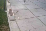 Çekirdek keyfi pahalıya patladı 