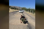 Çermik’te oluşan çukurlara ağaç dikerek yolların yapılmamasını protesto ettiler