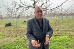 Cevizle yaşam şartları değişen köyde İstanbullular da bahçe kuruyor 