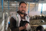 Çift başı ve 4 gözü ile doğan kuzu yaşama tutundu
