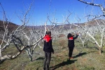 Çiftçilere bordo bulamacı uyarısı