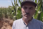 Çiftçinin Başı “Tüccar Dolandırıcılarla” Dertte