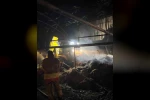 Çiftlikte çıkan yangında saman balyaları alevlere teslim oldu