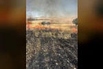 Çınar’da tarla yangını