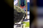 Çocuk parkı içinde sigara içen çocuklar kamerada